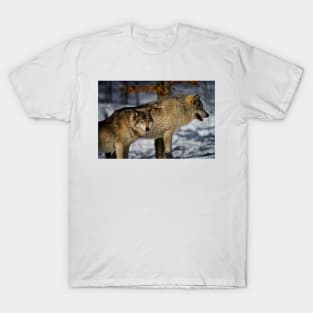 Timber Wolf T-Shirt